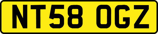 NT58OGZ