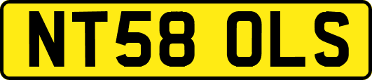 NT58OLS