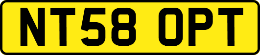 NT58OPT