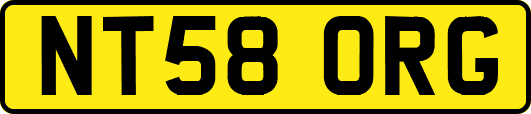 NT58ORG