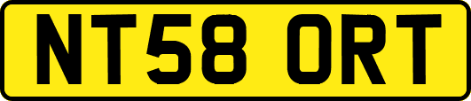 NT58ORT