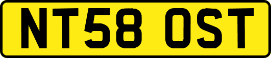 NT58OST