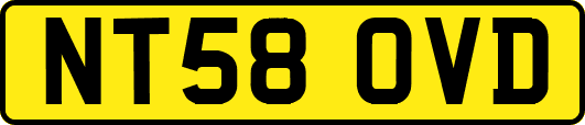 NT58OVD