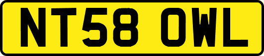 NT58OWL