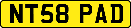 NT58PAD