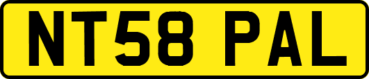 NT58PAL