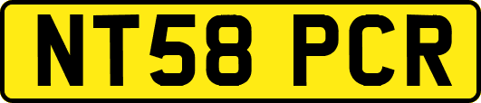 NT58PCR