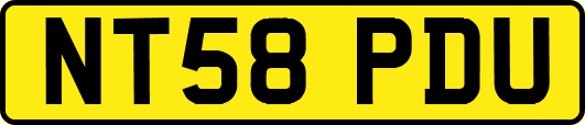NT58PDU