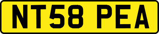 NT58PEA