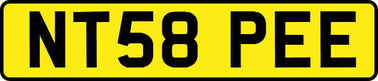 NT58PEE