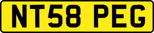 NT58PEG