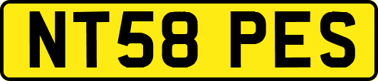 NT58PES