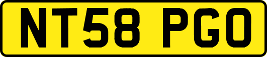 NT58PGO