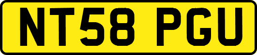 NT58PGU