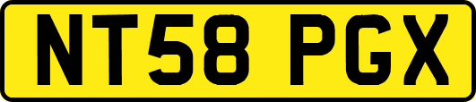 NT58PGX