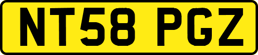 NT58PGZ