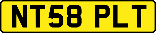 NT58PLT