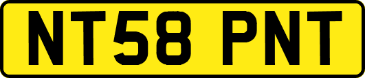 NT58PNT