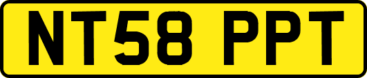 NT58PPT