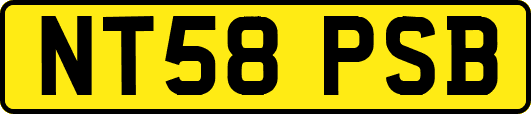 NT58PSB