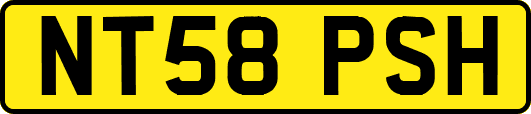 NT58PSH