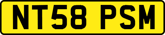NT58PSM