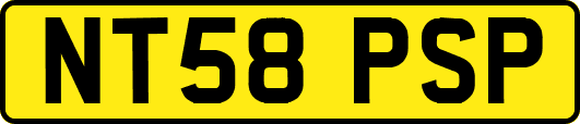 NT58PSP