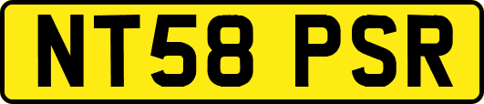 NT58PSR