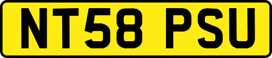 NT58PSU