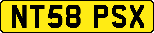 NT58PSX