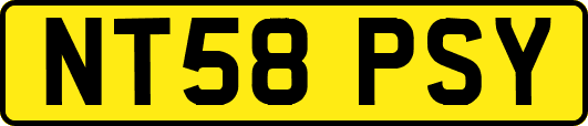 NT58PSY