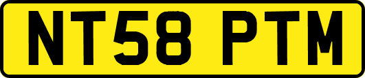 NT58PTM