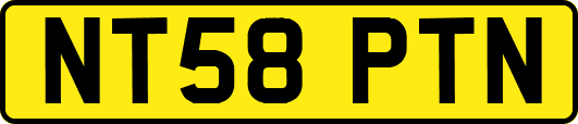 NT58PTN