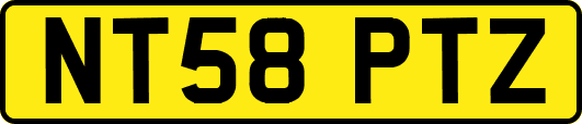 NT58PTZ