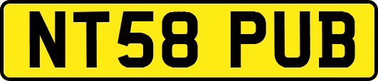 NT58PUB