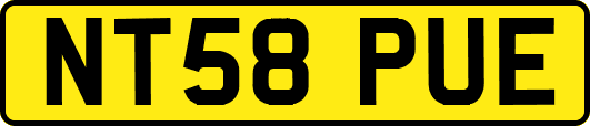 NT58PUE