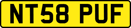 NT58PUF
