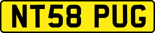 NT58PUG