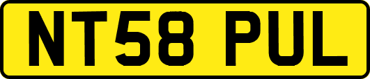NT58PUL