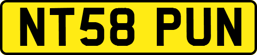 NT58PUN