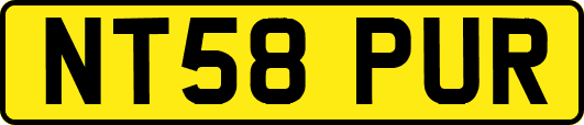 NT58PUR