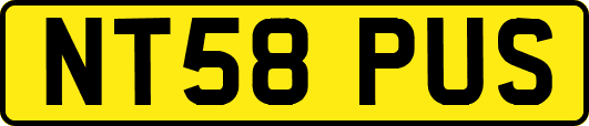 NT58PUS