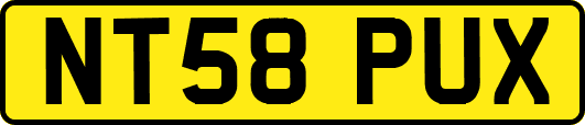 NT58PUX