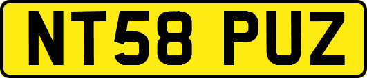 NT58PUZ