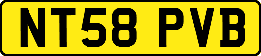 NT58PVB