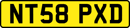 NT58PXD