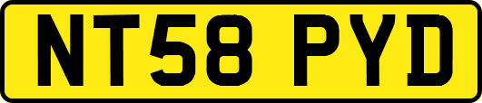 NT58PYD