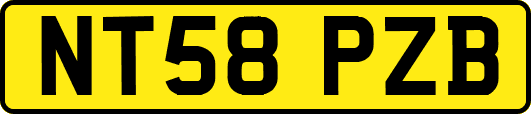 NT58PZB