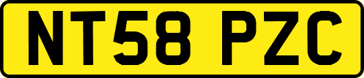 NT58PZC