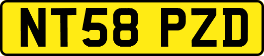 NT58PZD